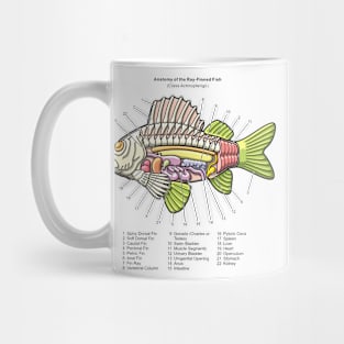 Fish anatomy, Ichthyology anatomy diagram Mug